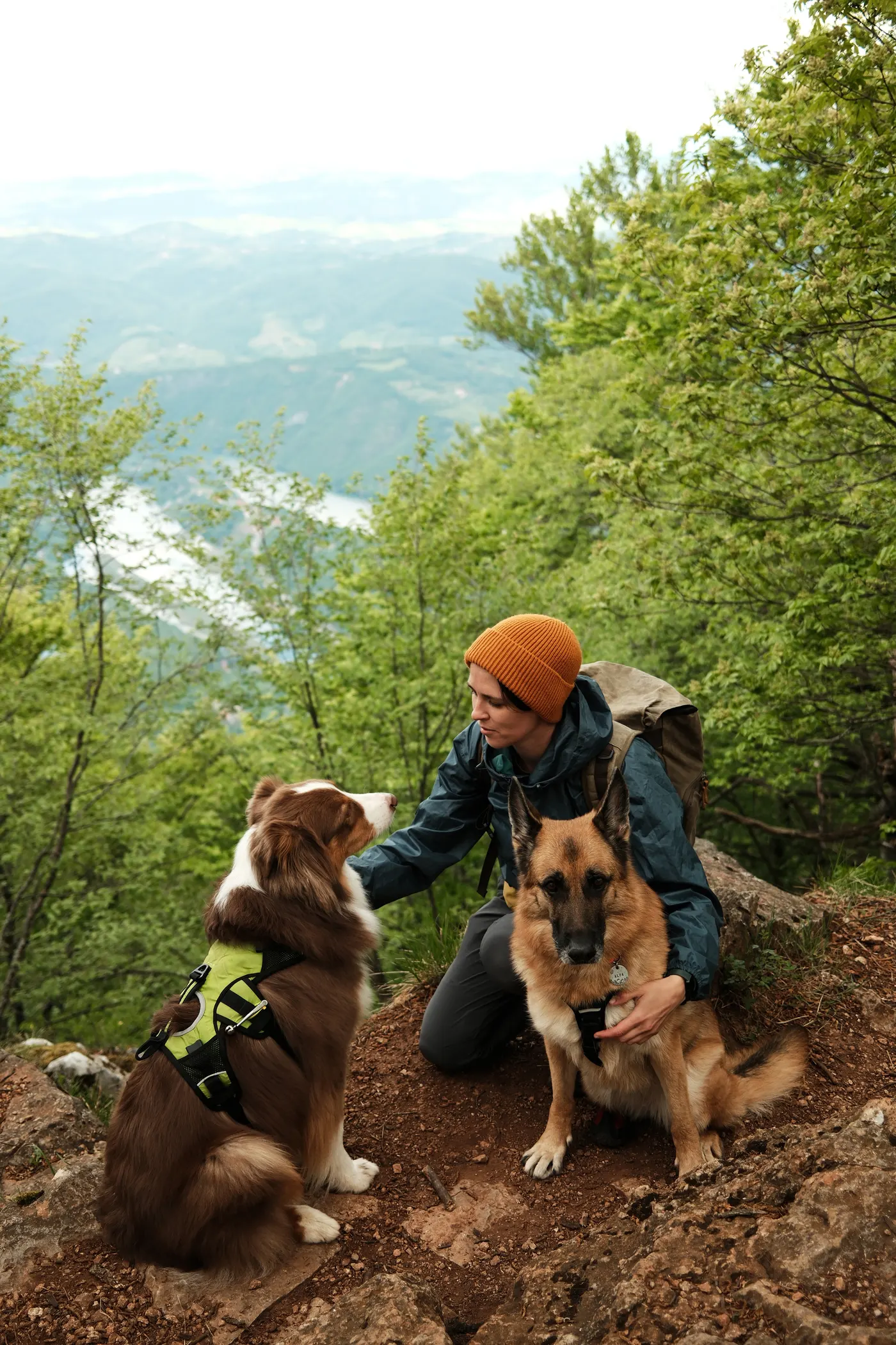 A hiker on a trail with two dogs